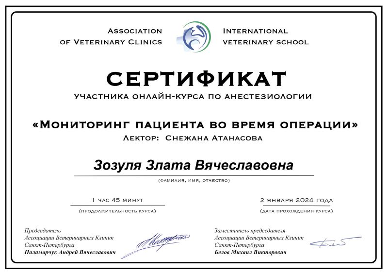 Сертификат 1