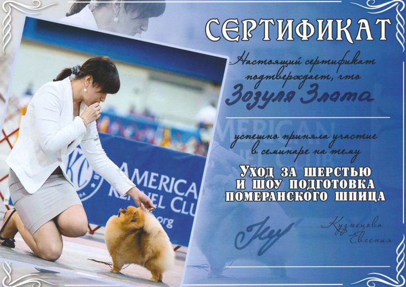 Сертификат 2