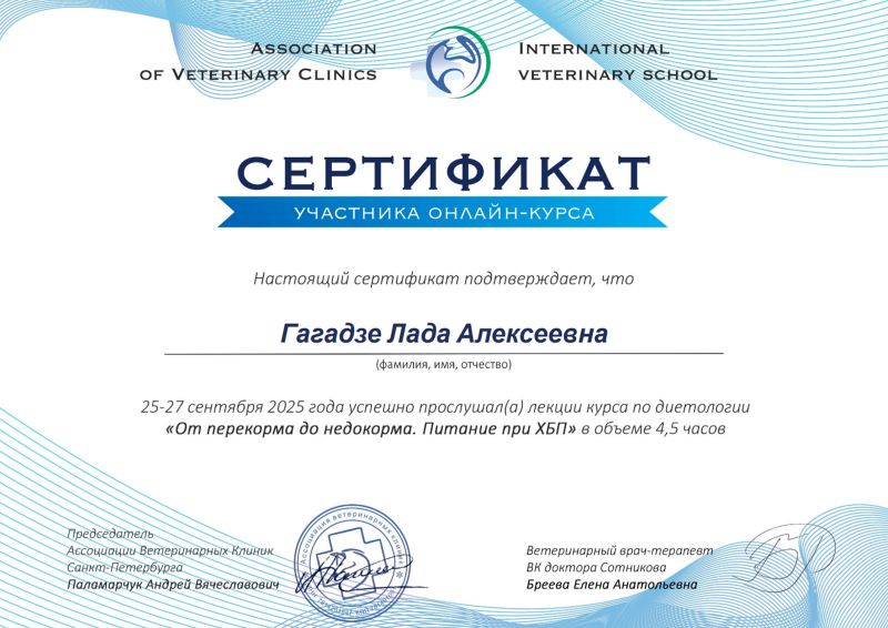 Сертификат 3