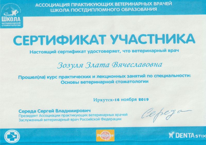 Сертификат 4