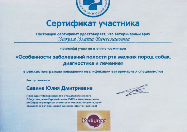 Сертификат 5