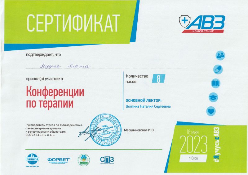 Сертификат 6