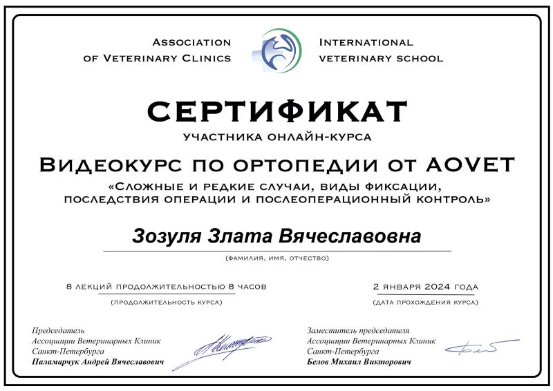 Сертификат 7