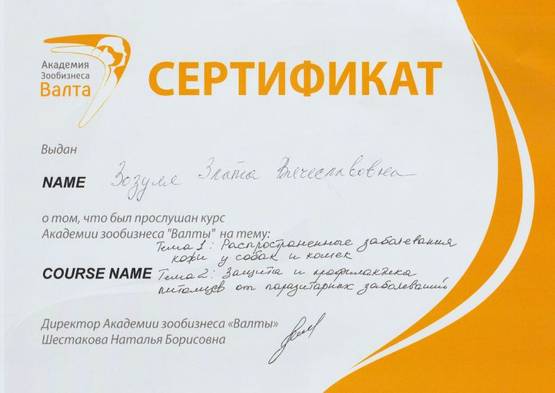 Сертификат 8